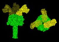 Protective Antigen Ion Channel Asymmetric Blockade To Detect Anthrax Infection