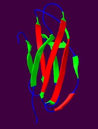 Discovery may improve treatment of neurodegenerative diseases